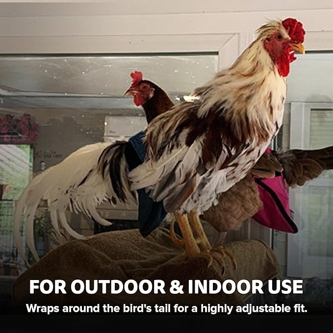 Hen Holster, Wrap-Around Chicken Diapers, Comfy Chicken Diapers for Hens & Roosters, US-Made Chicken Diaper, Must-Have Chicken Accessories, with Sewn-in Liner, XL, Pink - Crazy K Farm