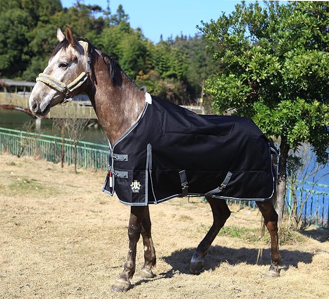 T TEKE Deluxe Turnout Horse Sheets, 1200D Waterproof and Breathable Horse Care Sheets with no Filling (51"-87" Including Miniature/foal Size)
