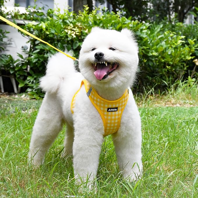 AIITLE No-Pull Pet Harness with a Leash, Plaid Comfort Padded Vest, Step in Dog Harness, Reflective Bands, Soft Breathable Pet Supplies, for Small and Medium Dogs and Cats Yellow S