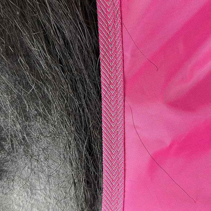 BARN & STABLE 420D Breathable&Waterproof Horse Sheet Summer Sheet for Horse with Removable Web Leg Straps
