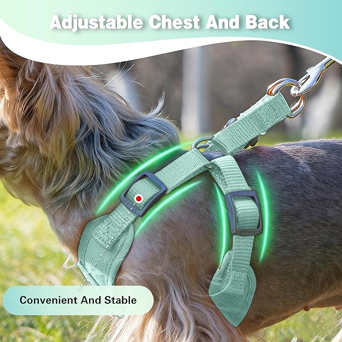 Dog Harness with Leash Set, Puppy Soft Vest No Choke No Pull, Adjustable Neck and Chest, Lightweight Harness and Anti-Twist Pet Leash Combo for Small to Medium Dogs (Green, L-Large)