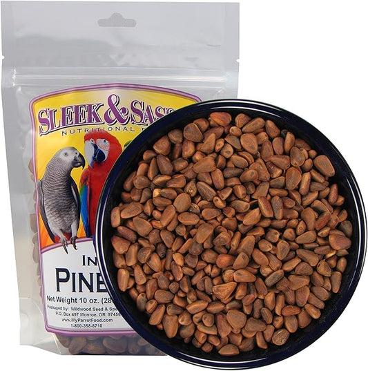 Sleek & Sassy Pine Nuts for Birds (10 oz.)
