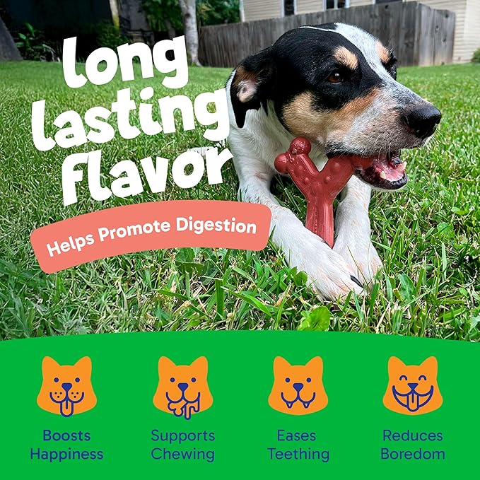 Chew'ems Durable Chewy Dog Toys | Long-Lasting & Flavorful Chew Dog Toys, Large Dog Breeds | Large Dogs, Salmon-Flavored (Pack of 2)