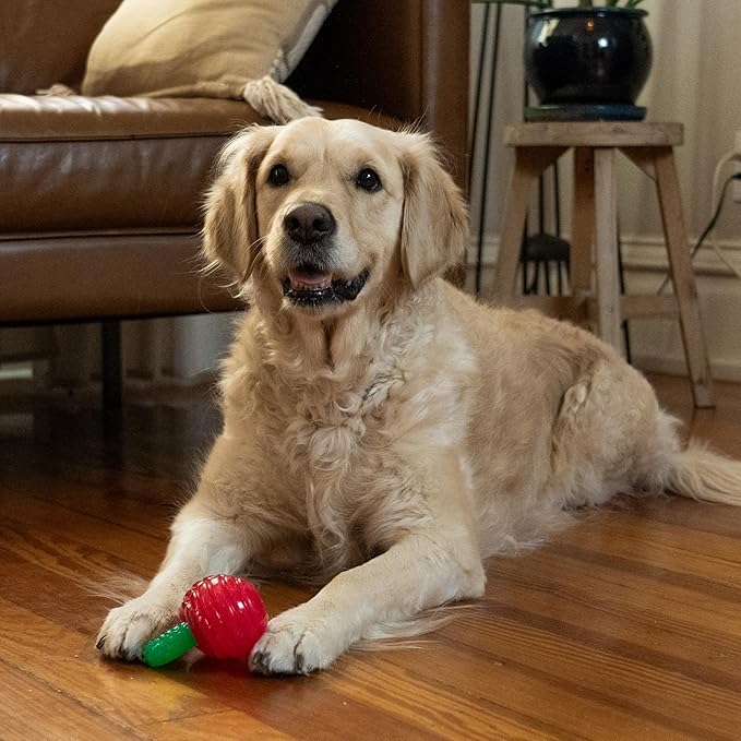 Outward Hound Gummiez Cherries 2-in-1 Dental Dog Chew Toy and Dog Treat Stuffer Game, Cherry Scent, Red