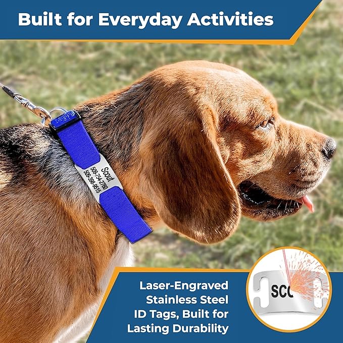 GoTags Reflective Personalized Dog Collar with Nameplate, Adjustable Dog Collar with Custom Engraved Steel Slide On Pet ID Tag, Silent, No Noise Dog Tag for Large Medium or Small (Orange, Medium)