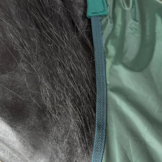 BARN & STABLE 420D Breathable&Waterproof Horse Sheet Summer Sheet for Horse with Removable Web Leg Straps