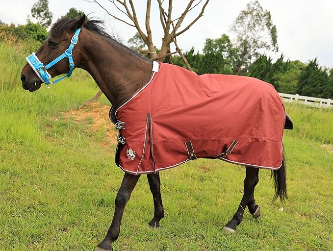 T TEKE Deluxe Turnout Horse Sheets, 1200D Waterproof and Breathable Horse Care Sheets with no Filling (51"-87" Including Miniature/foal Size)