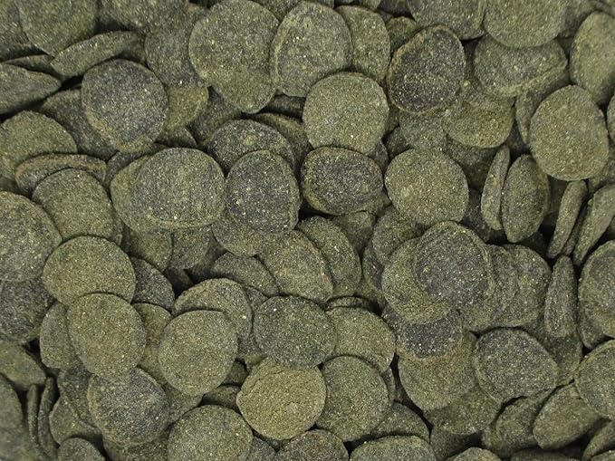 Mini Algae Discs - Sinking Diet for Snails, Shrimp & Bottom Feeding Fish (9oz (255g))