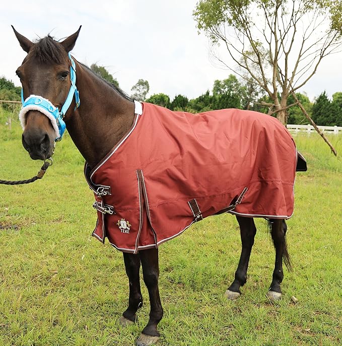 T TEKE Deluxe Turnout Horse Blankets, 1200D Waterproof and Breathable Horse Care Blankets for Winter 200gram Filling (51"-87" Including Miniature/foal Size)