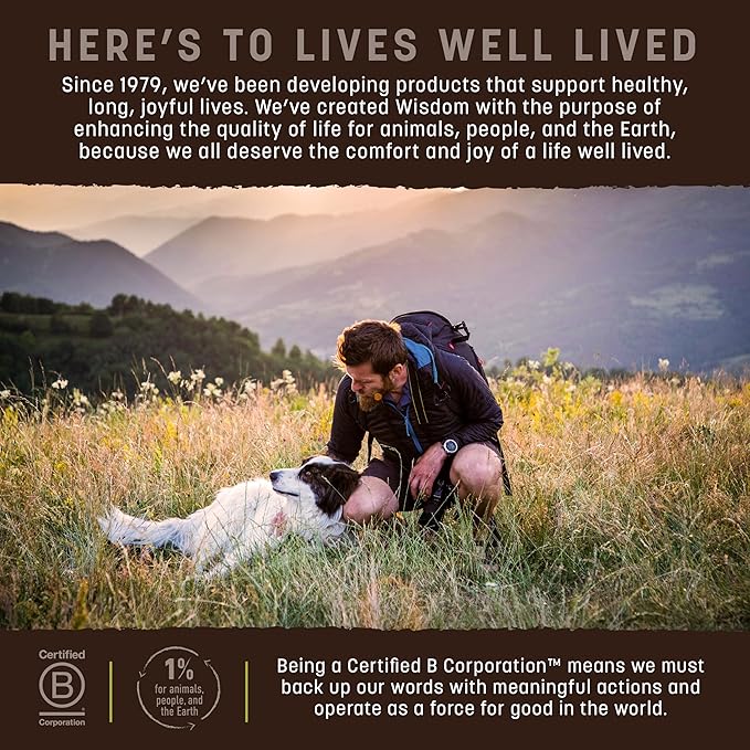 Earth Animal Wisdom Air Dried Dog Food - from The Seed Recipe Premium Natural Dry Dog Food for All Breeds & Ages - 2 Lbs Bag